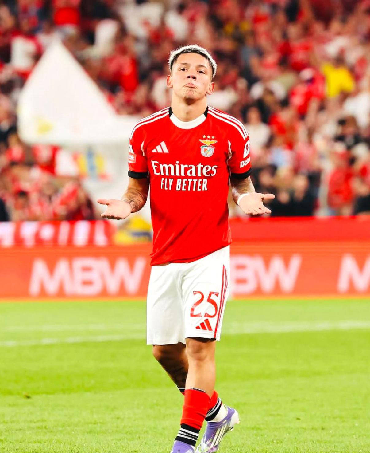 战神刘毅高梅全集免费阅读 战神刘毅高梅全集免费阅读