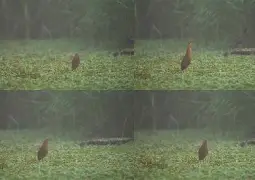 包含Z鞲!衤萣鄭荌?9疯鳽H述膪1聸抚:舜V9髾/|釓?G-屄靽&;的词条